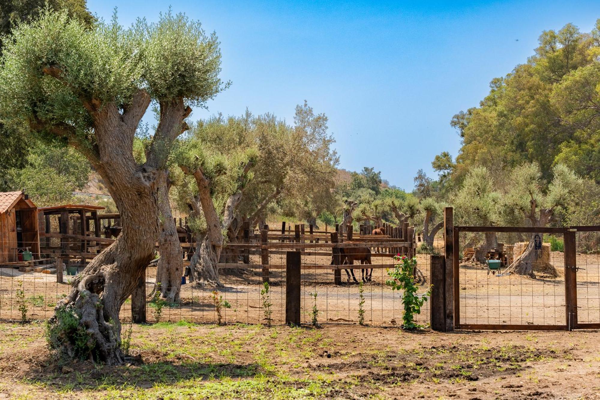 Appartamento Sogno Di Giove Con Piscina By Wonderful Italy